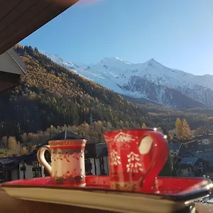 Vue Montblanc Magique En Centre-ville Avec Parking Appartement Chamonix